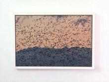 Load image into Gallery viewer, Photograph printed on wood of a flock of birds / snow geese in the sky 