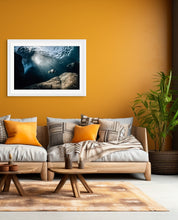 Load image into Gallery viewer, Spotlight — Photograph on Fine Art Paper